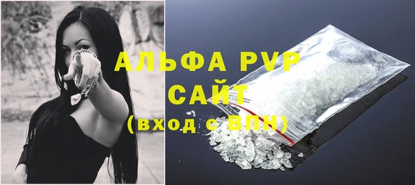 ГАЛЛЮЦИНОГЕННЫЕ ГРИБЫ Белокуриха