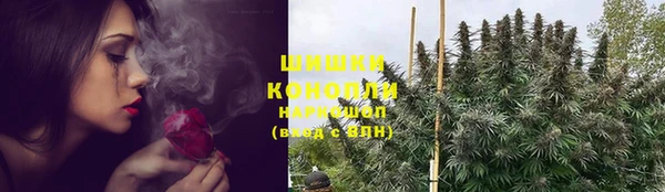 ГАЛЛЮЦИНОГЕННЫЕ ГРИБЫ Белокуриха
