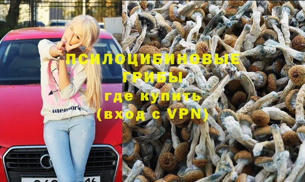 спайс Беломорск