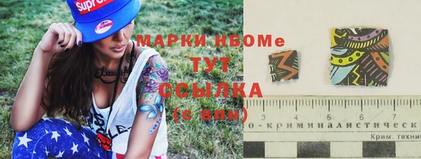 ГАЛЛЮЦИНОГЕННЫЕ ГРИБЫ Белокуриха