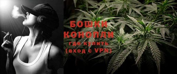ГАЛЛЮЦИНОГЕННЫЕ ГРИБЫ Белокуриха