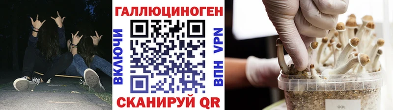 Галлюциногенные грибы Psilocybe Красный Сулин